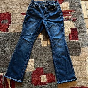 Judy Blue Jeans size 16W Great Condition☀️